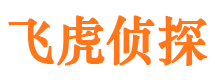 伍家岗市侦探